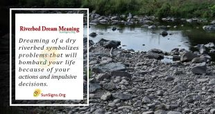 Riverbed Dream Meaning