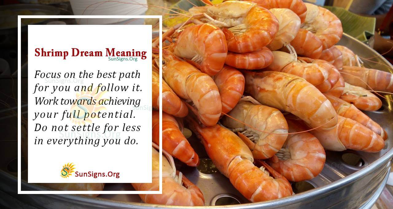 Shrimp in Your Dream - Meaning, Interpretation and Symbolism - SunSigns.Org