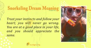 Snorkeling Dream Meaning
