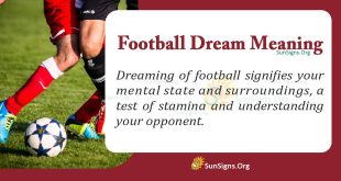 Football Dream Meaning