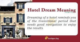 Hotel Dream Meaning