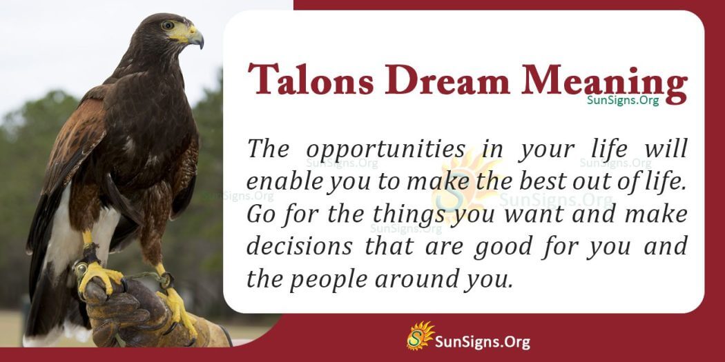 Talons in Dream Meaning, Interpretation and Symbolism
