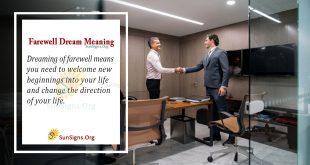 Farewell Dream Meaning