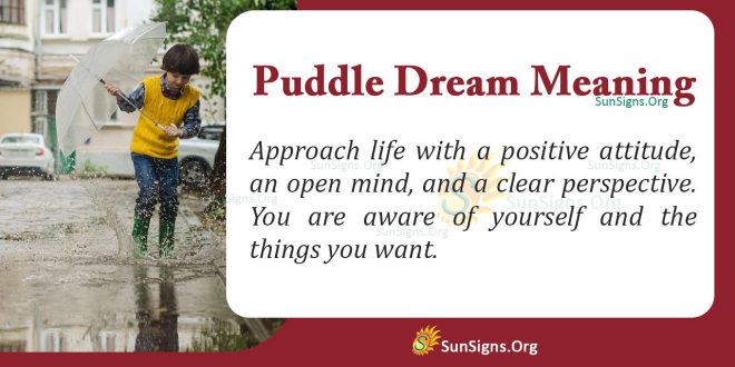 Puddle Dream Meaning