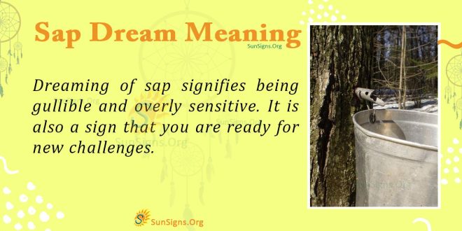 Sap Dream Meaning