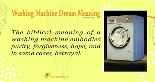 Washing Machine Dream Meaning