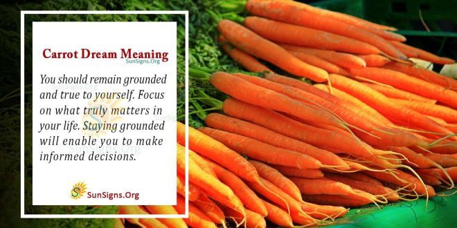 Carrot Dream Meaning