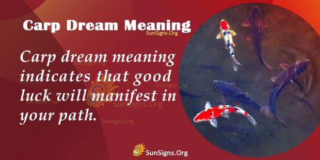 Carp Dream Meaning