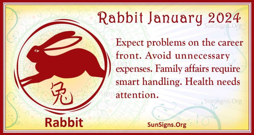 rabbit january 2024