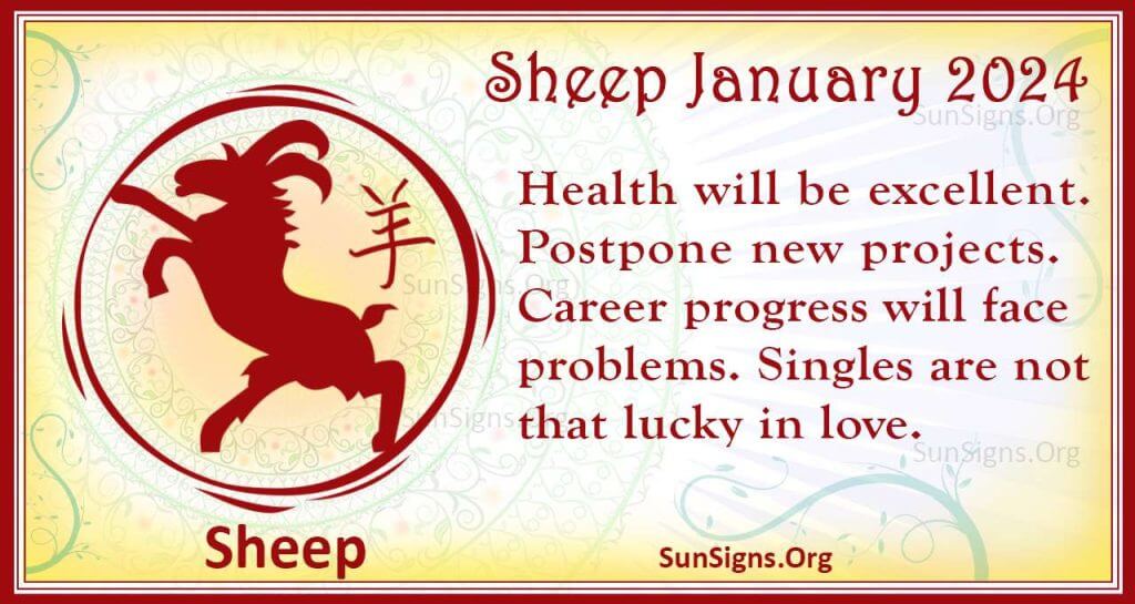sheep january 2024