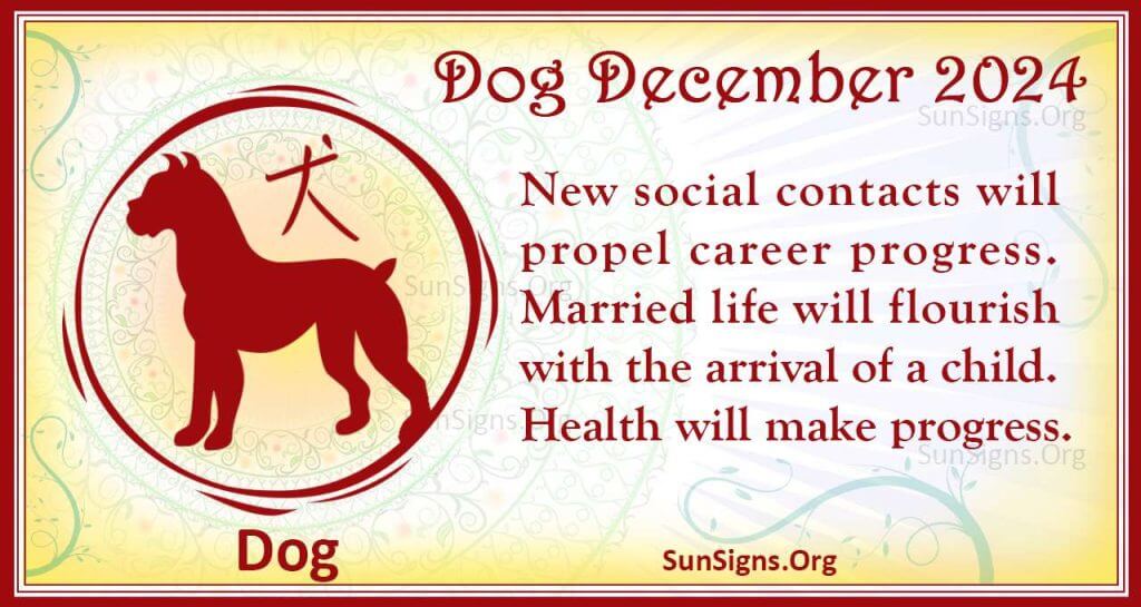 dog december 2024