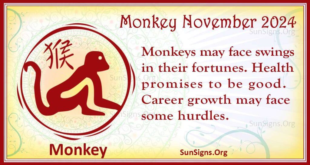 monkey november 2024