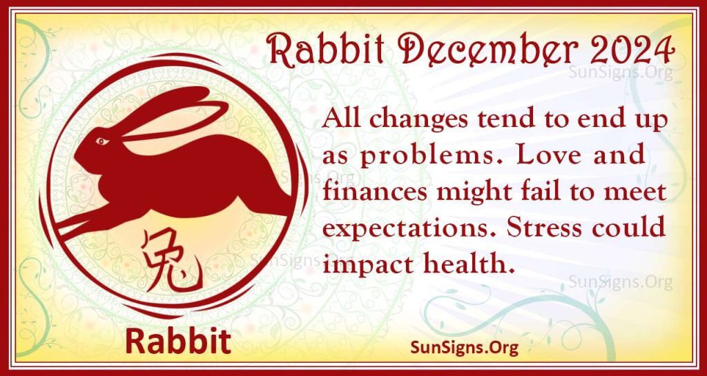 rabbit december 2024